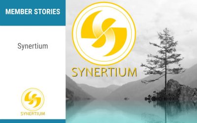 Synertium: Supporting emerging organisations to develop business models that foster the SDGs